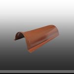 تیزه پرچین گرد شکلاتی