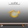 تیزه پرچین زرد - تصویر 4