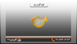 تیزه پرچین زرد - تصویر 4