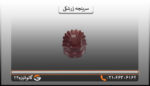 سرپنجه زرشکی
