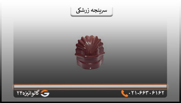 سرپنجه زرشکی