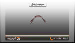 سرپنجه پرچین