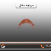 سرپنجه سفالی