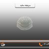 سرپنجه سفید