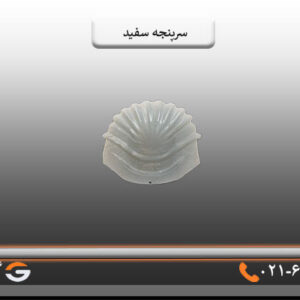 سرپنجه سفید