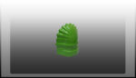 سرپنجه فسفری