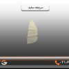 سرپنجه سفید پرچین