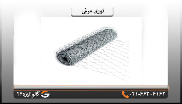 توری مرغی